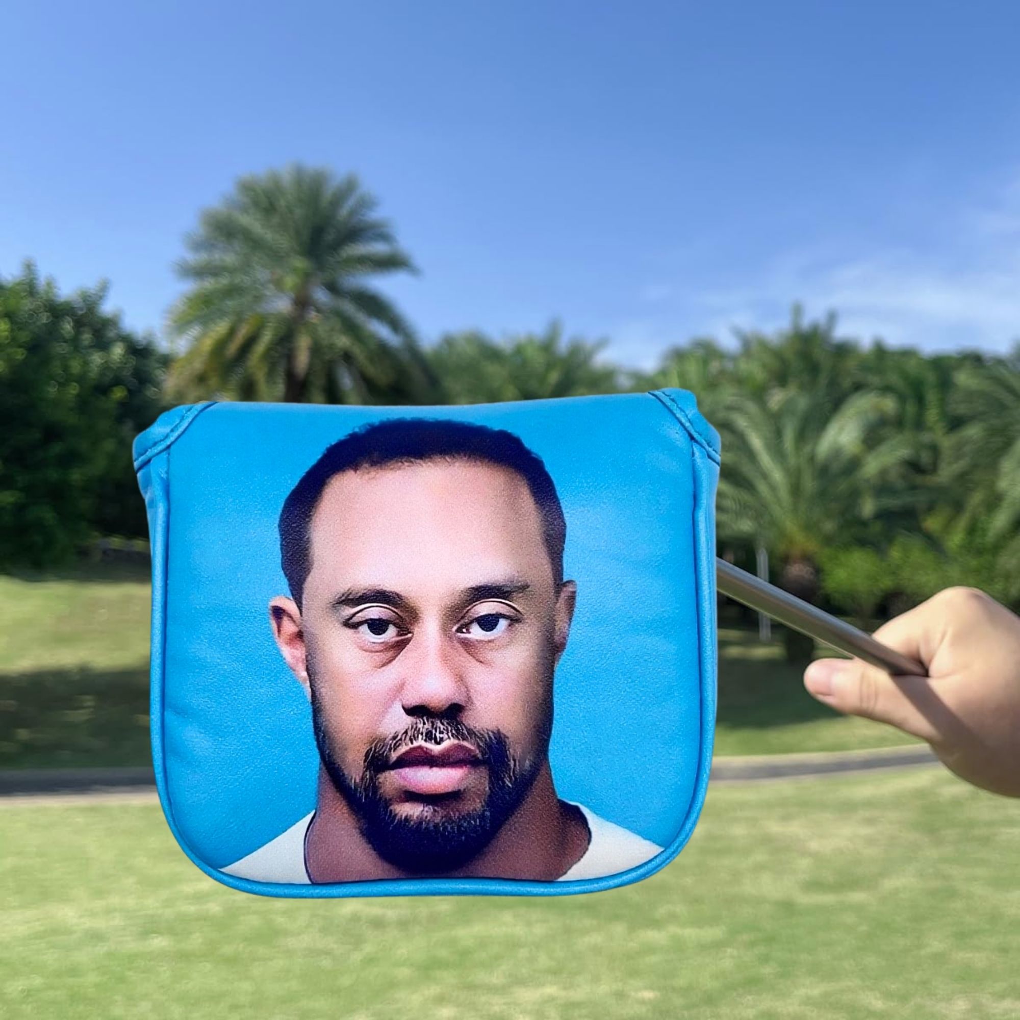 Funny Golf Mallet Putter Head  - đánh giá và giá Golf Equipment And Accessories